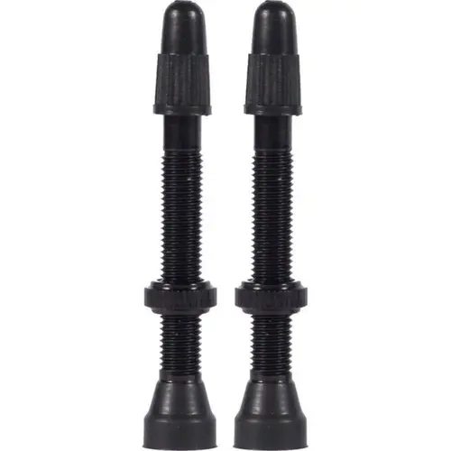 Tubeless-Ventile WTB presta TCS