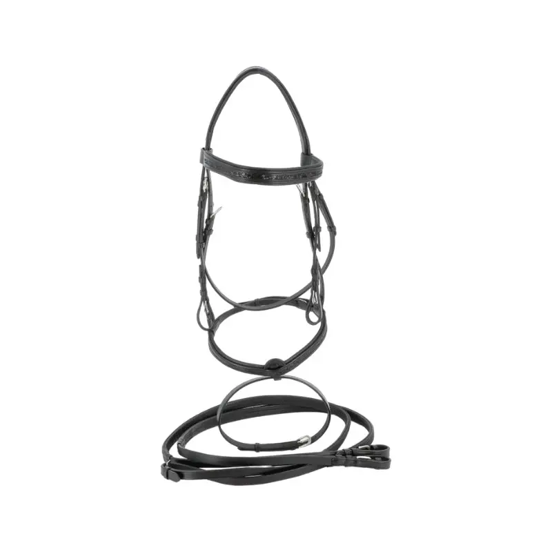 Zaumzeug Reiten Canter Black strass