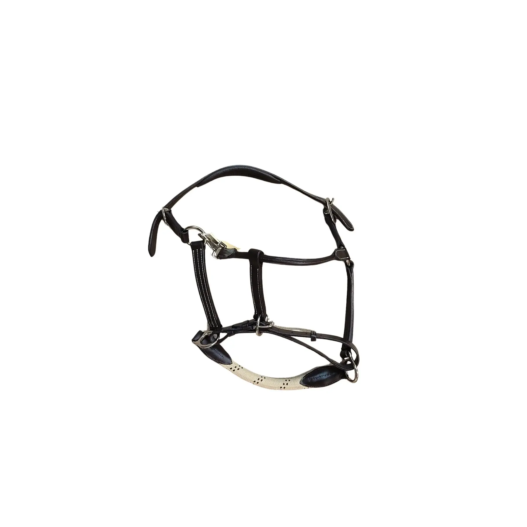 Leather halter for horse with reins Canter