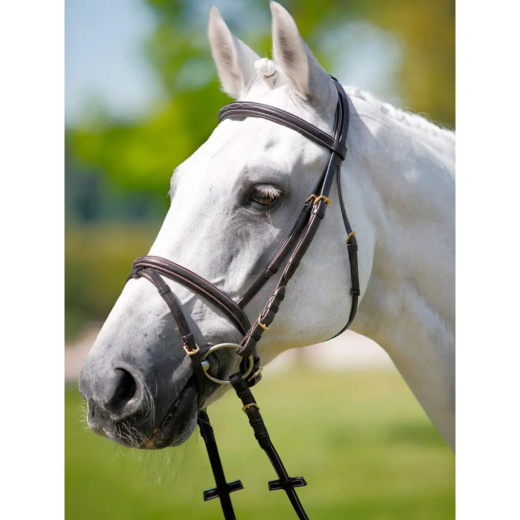 Headrest, browband-licol costing white Tattini