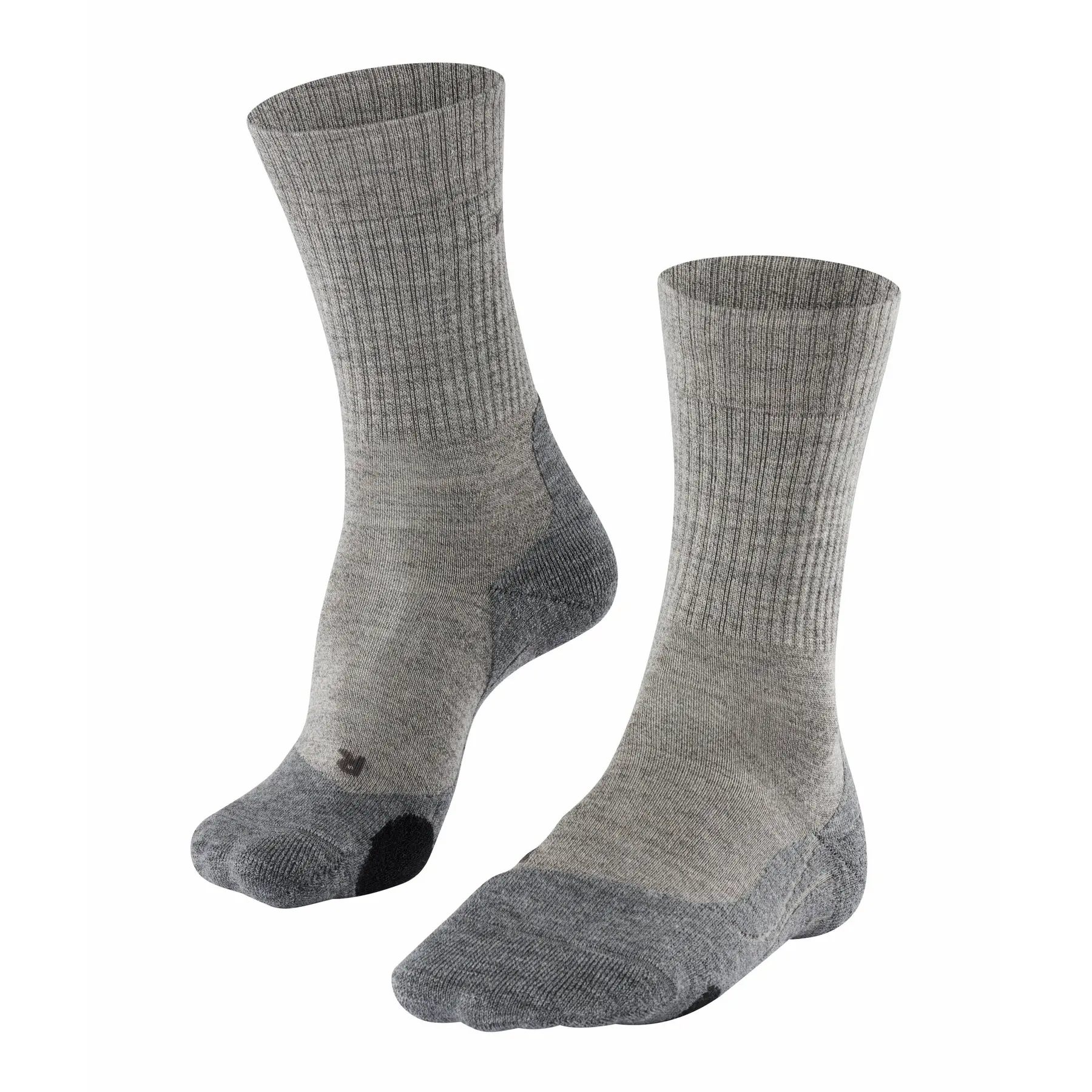 Calze Falke TK2 Wool