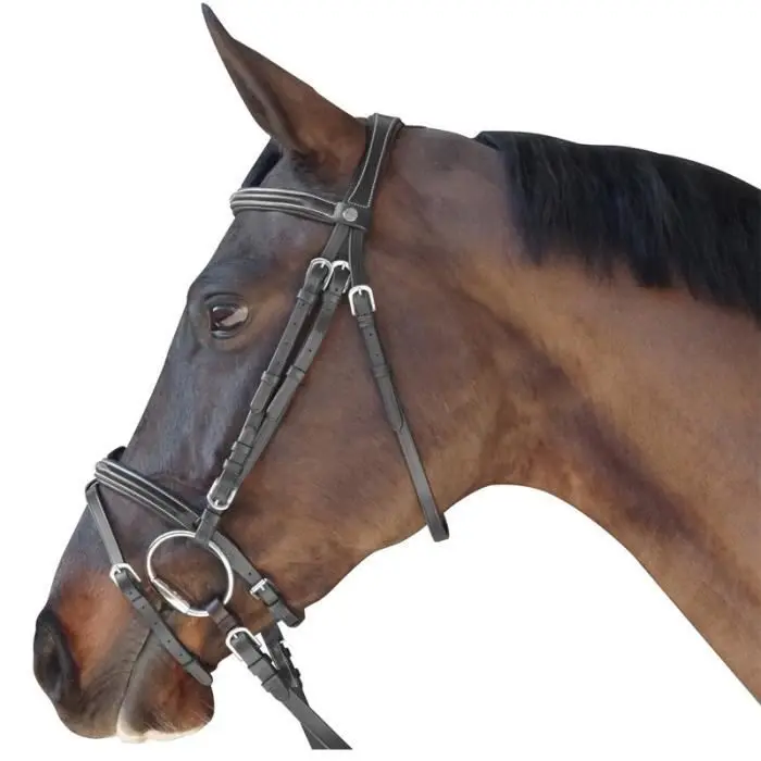 Riding bridles Flags&Cup Madrid