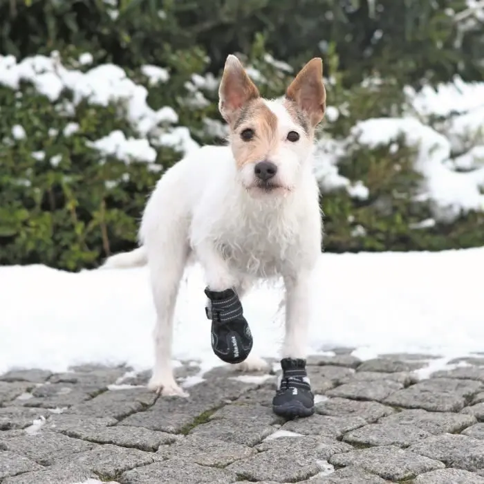 Paar Pfotenschützer für Hunde Trixie Walker Active
