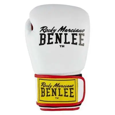 Boxhandschuhe Kind Benlee Draco