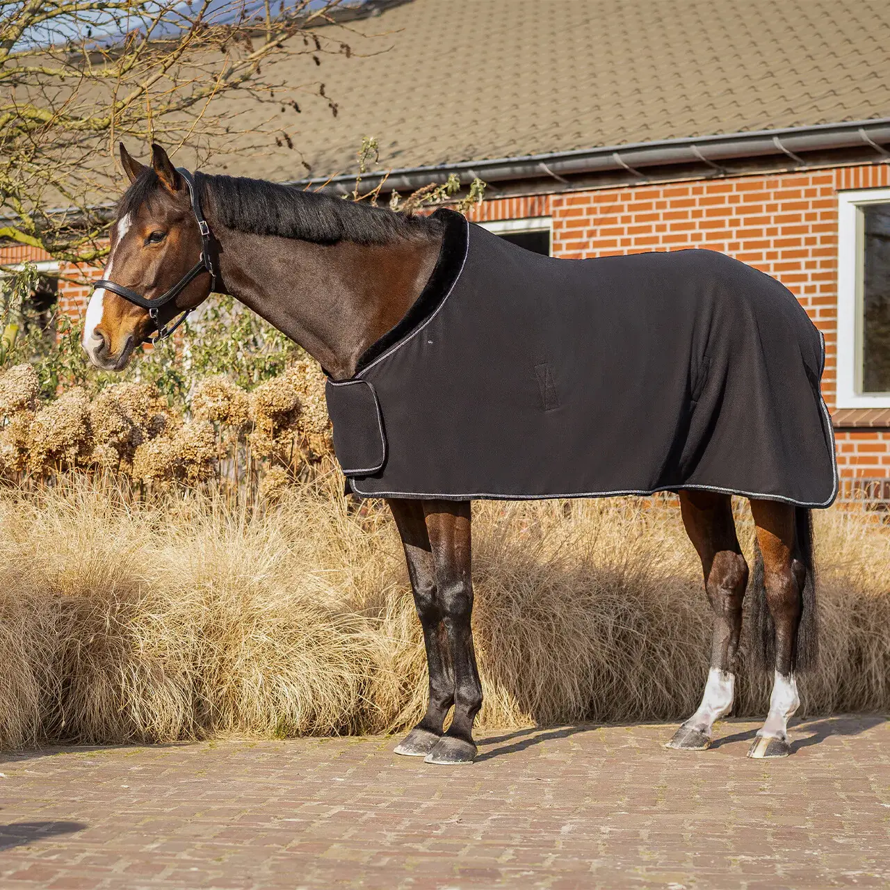 Coperta in pile per cavalli QHP Salerno