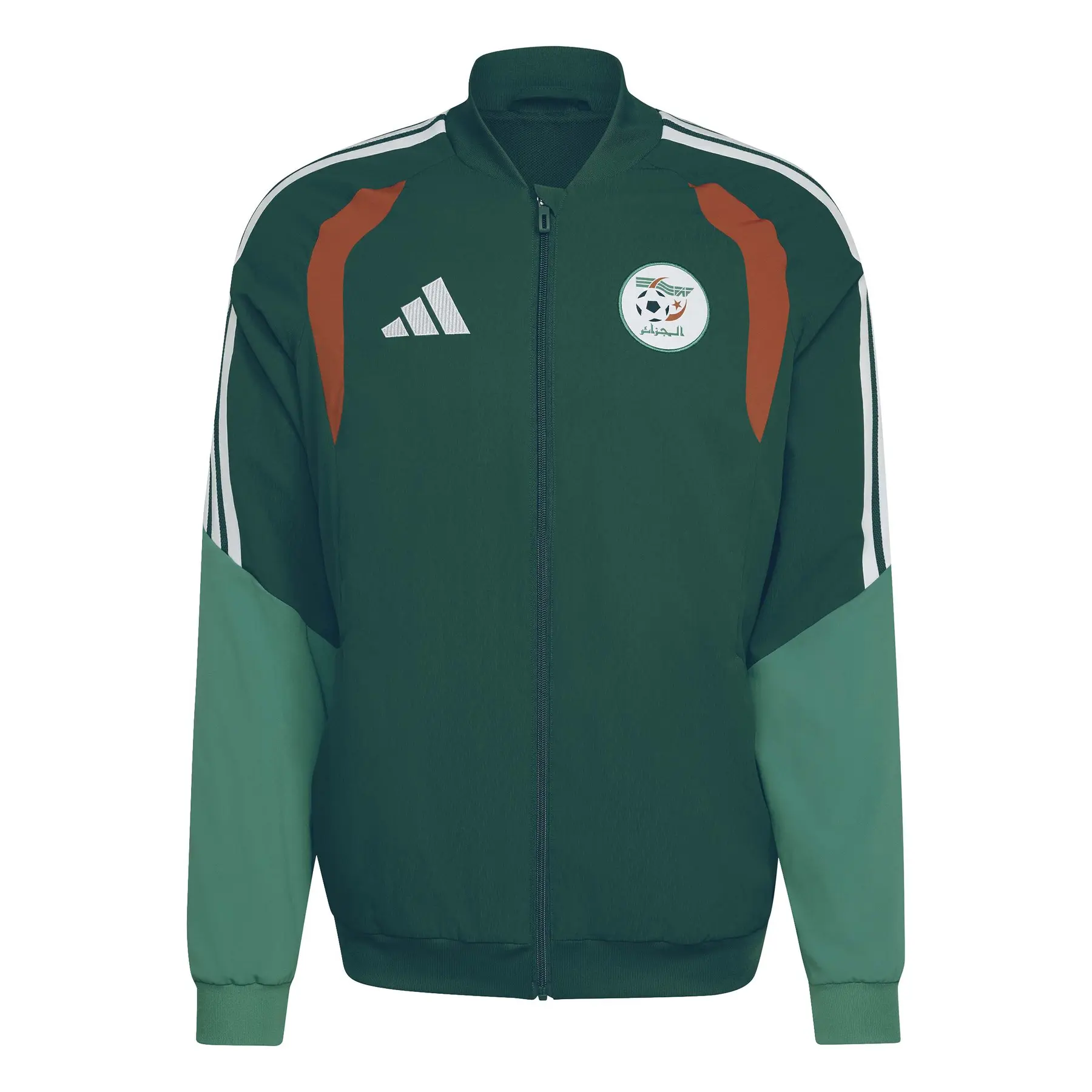 Präsentationsjacke Algerien Tiro Coupe du Monde 2026 - Farbe: Vert