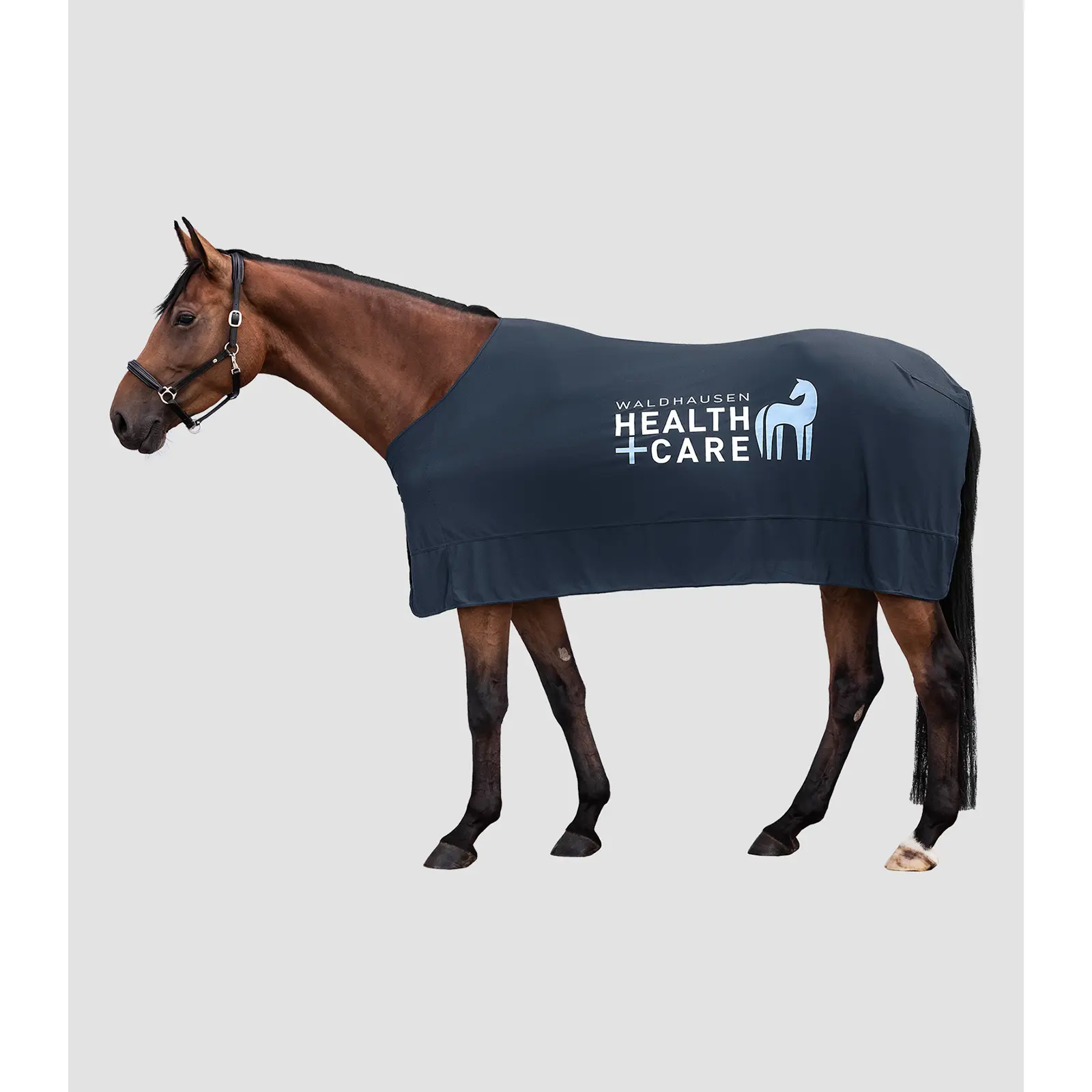 Coperta per cavalli Waldhausen Ice layer W-Health & Care
