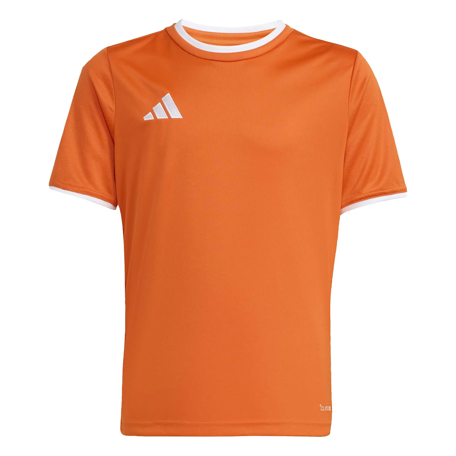 Camiseta infantil adidas Entrada26