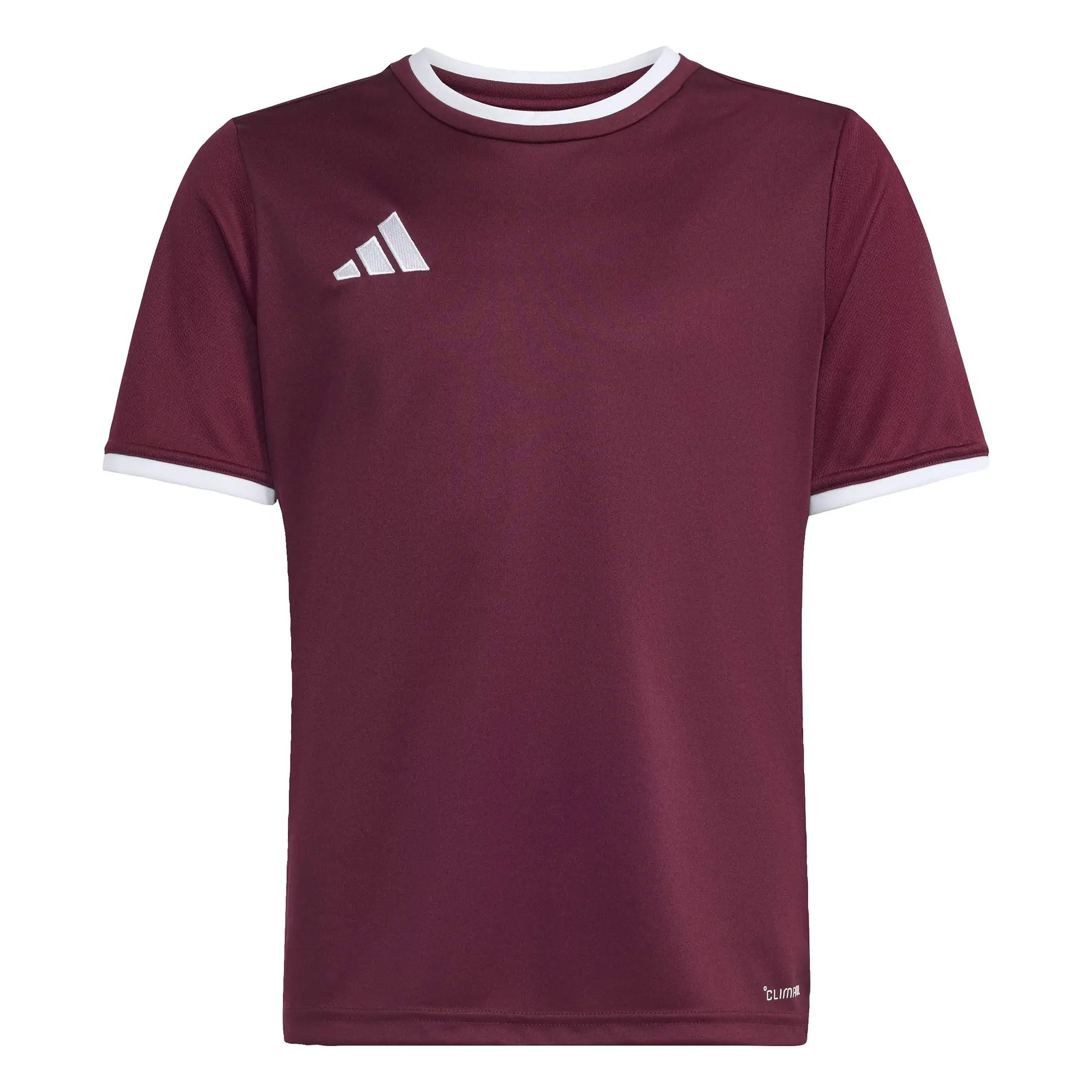 Camiseta infantil adidas Entrada26
