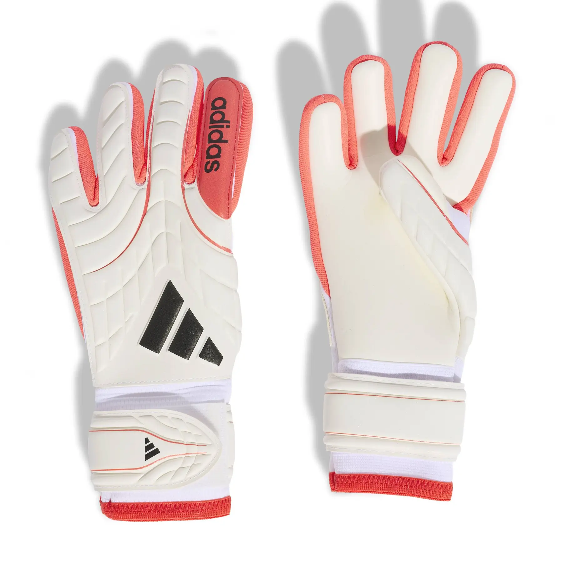 Torwarthandschuhe Kind adidas Ants Copa League - Farbe: Blanc