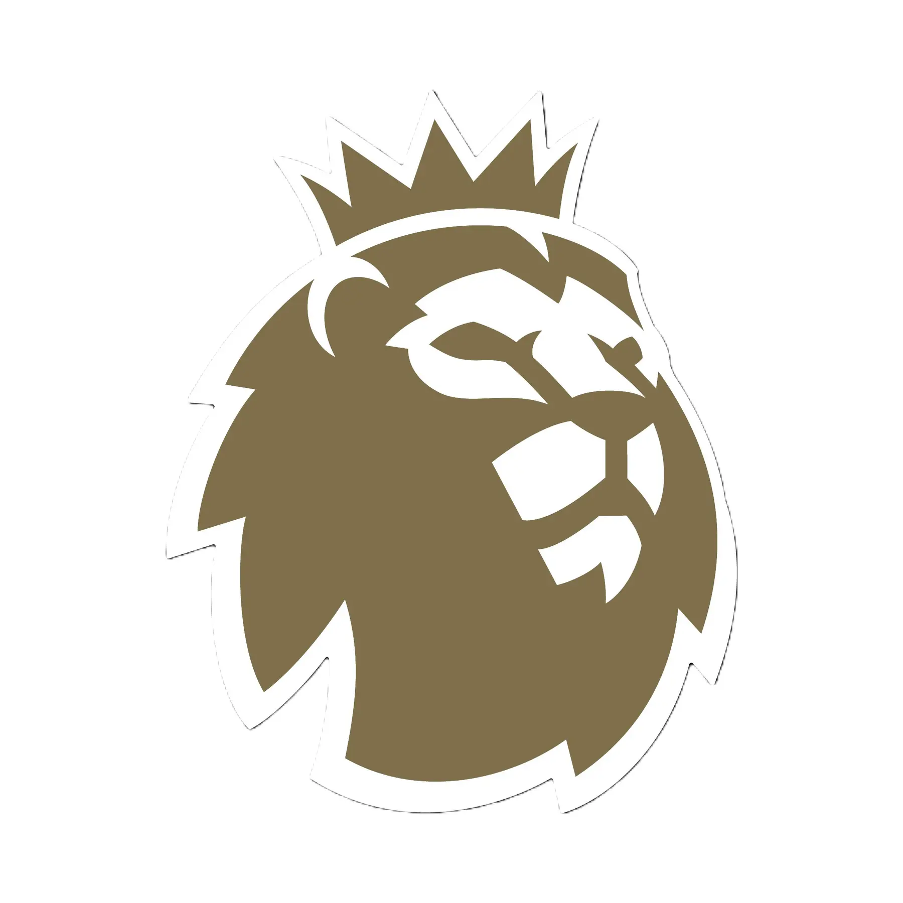 Badge bambino Campionato Premier League FAPL CHAMPIONS 2023/