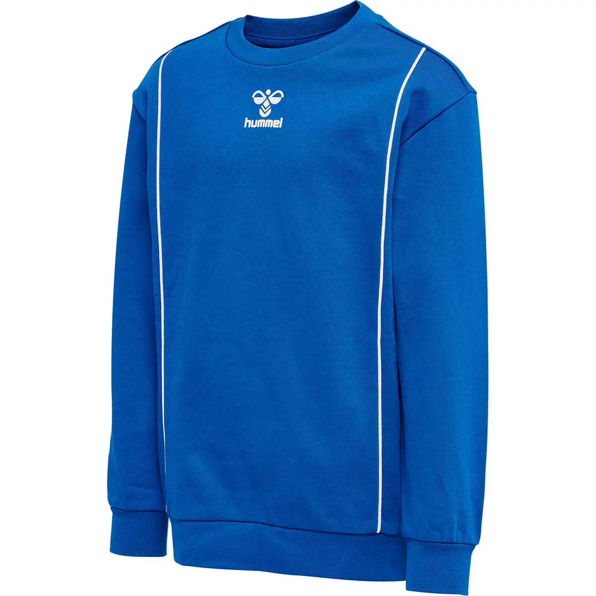 Sweatshirt Kind Hummel Ditmer