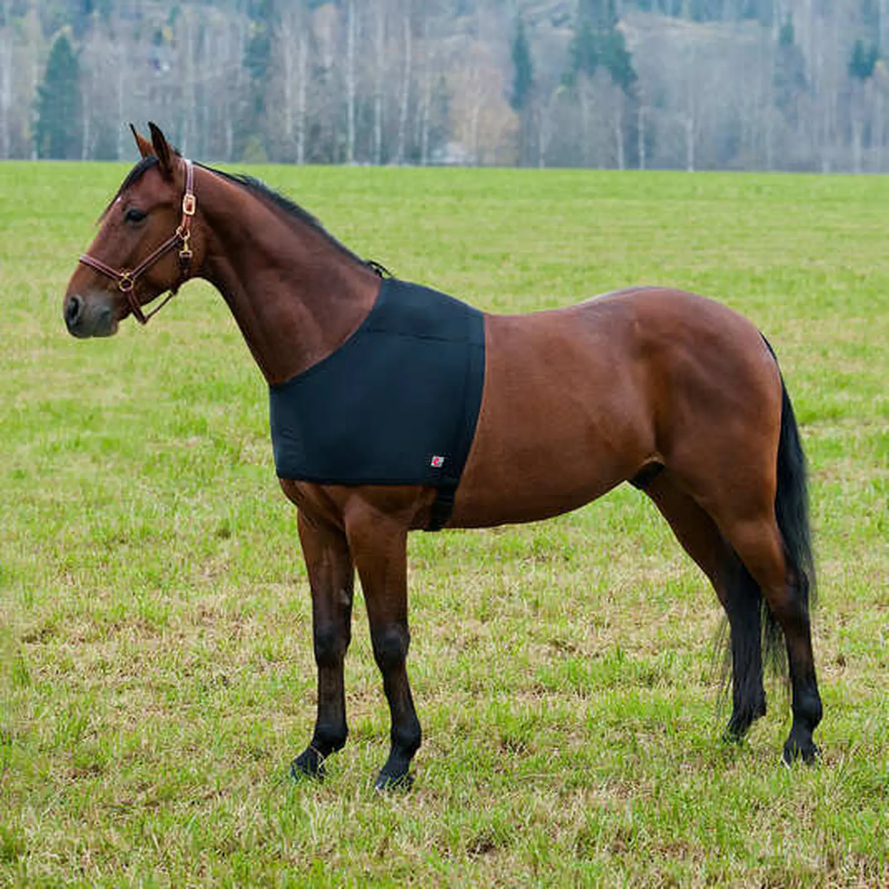 Shoulder protection  under cover Horze ComForce