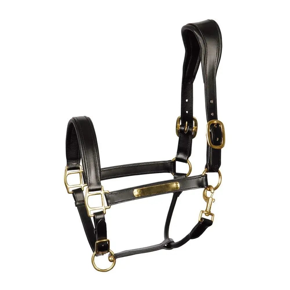 Cavezza anatomica in cuoio per cavalli Harry's Horse
