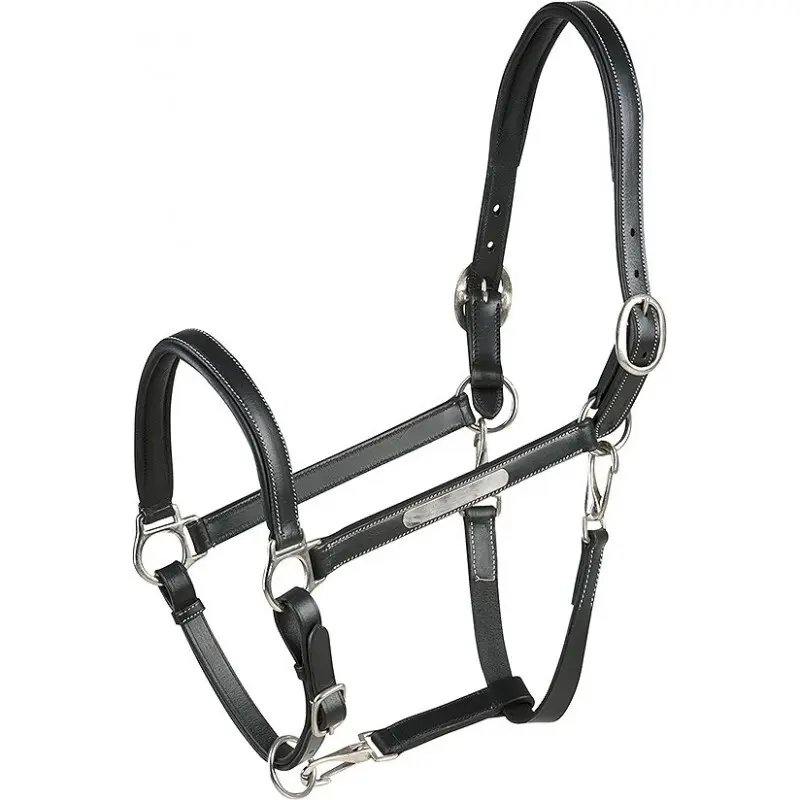 Licol pour cheval cuir grooming ERIC THOMAS “Pro”
