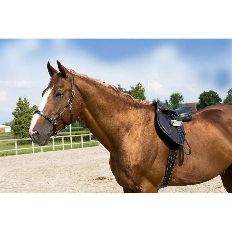 Halter for horse for pony leather grooming ERIC THOMAS “Pro”