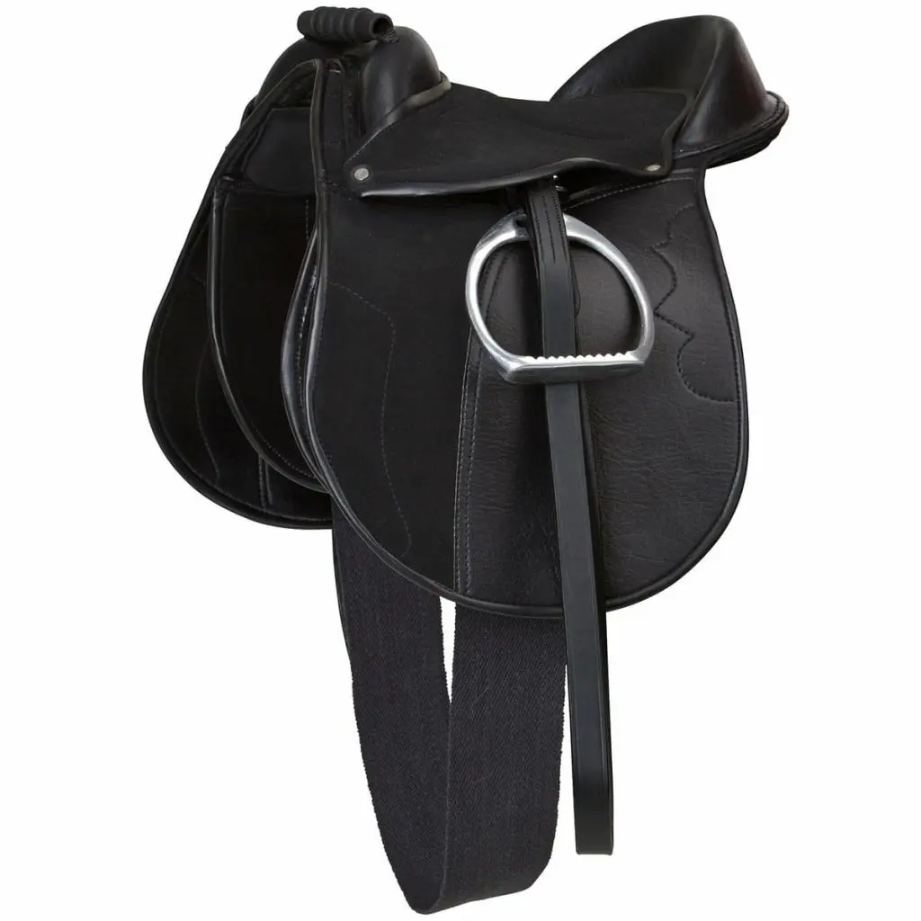 Equipped bardette Kerbl economy pony