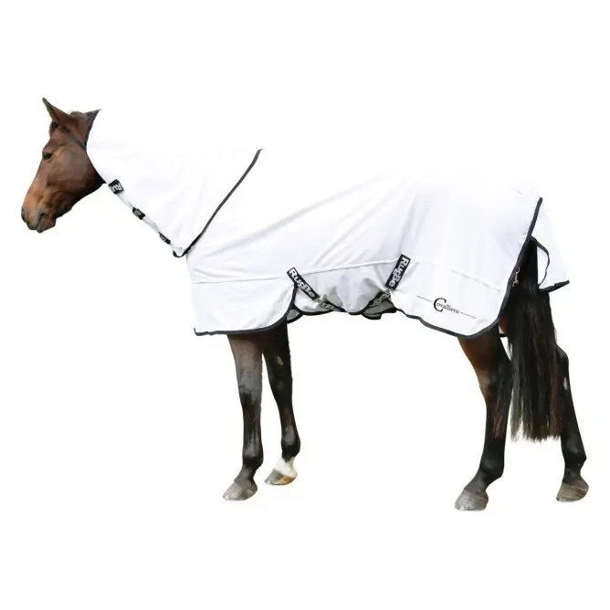 RugBe Blanket Covalliero SuperFly