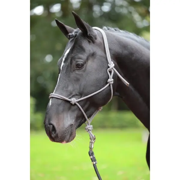 Ethological halter full Kerbl