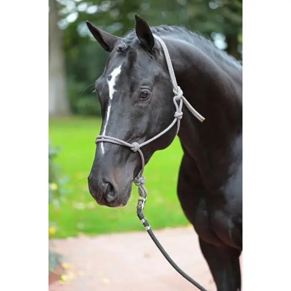 Ethological halter cob Kerbl
