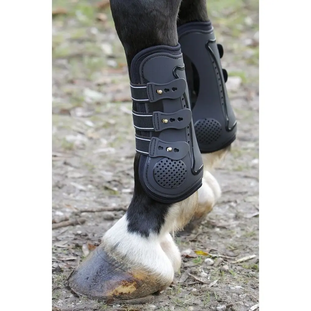 Knee protector for horses Harry's Horse Peesbeschermers Elite-R