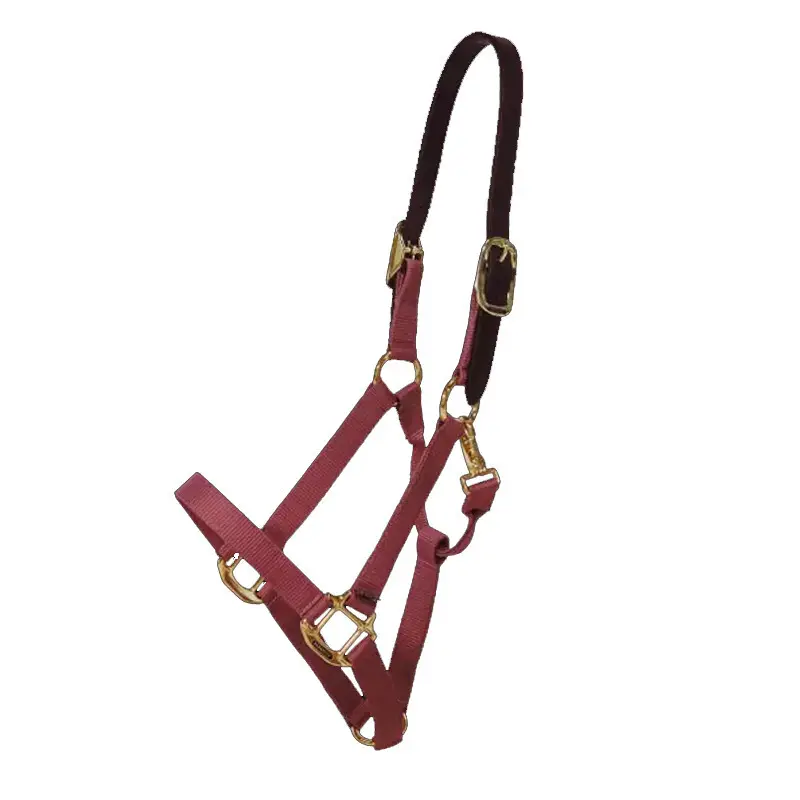 Halter for pony Kentucky Breakaway