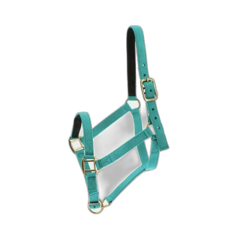 Halter for horse Norton Double leather