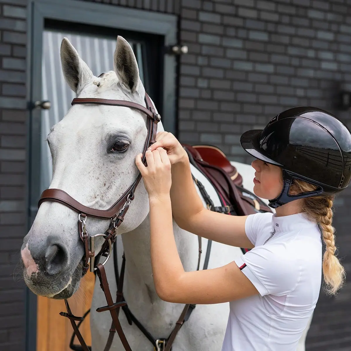 Briglie da equitazione Presteq Faysport