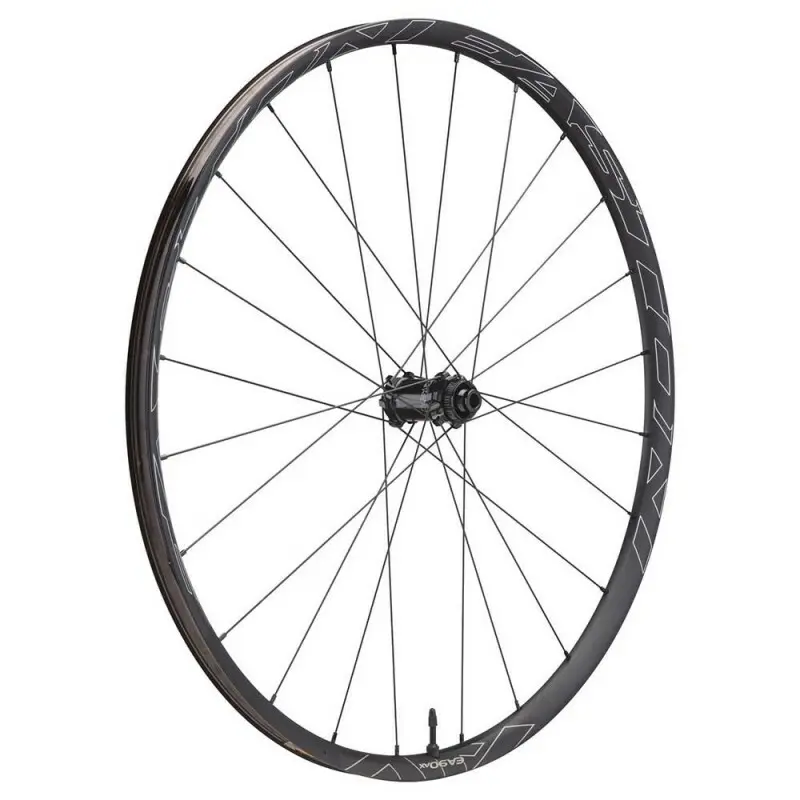 Straßenfahrrad Alu-Reifen Disc-Vorderrad Easton EA90 AX - 700c - 12x100/15x100
