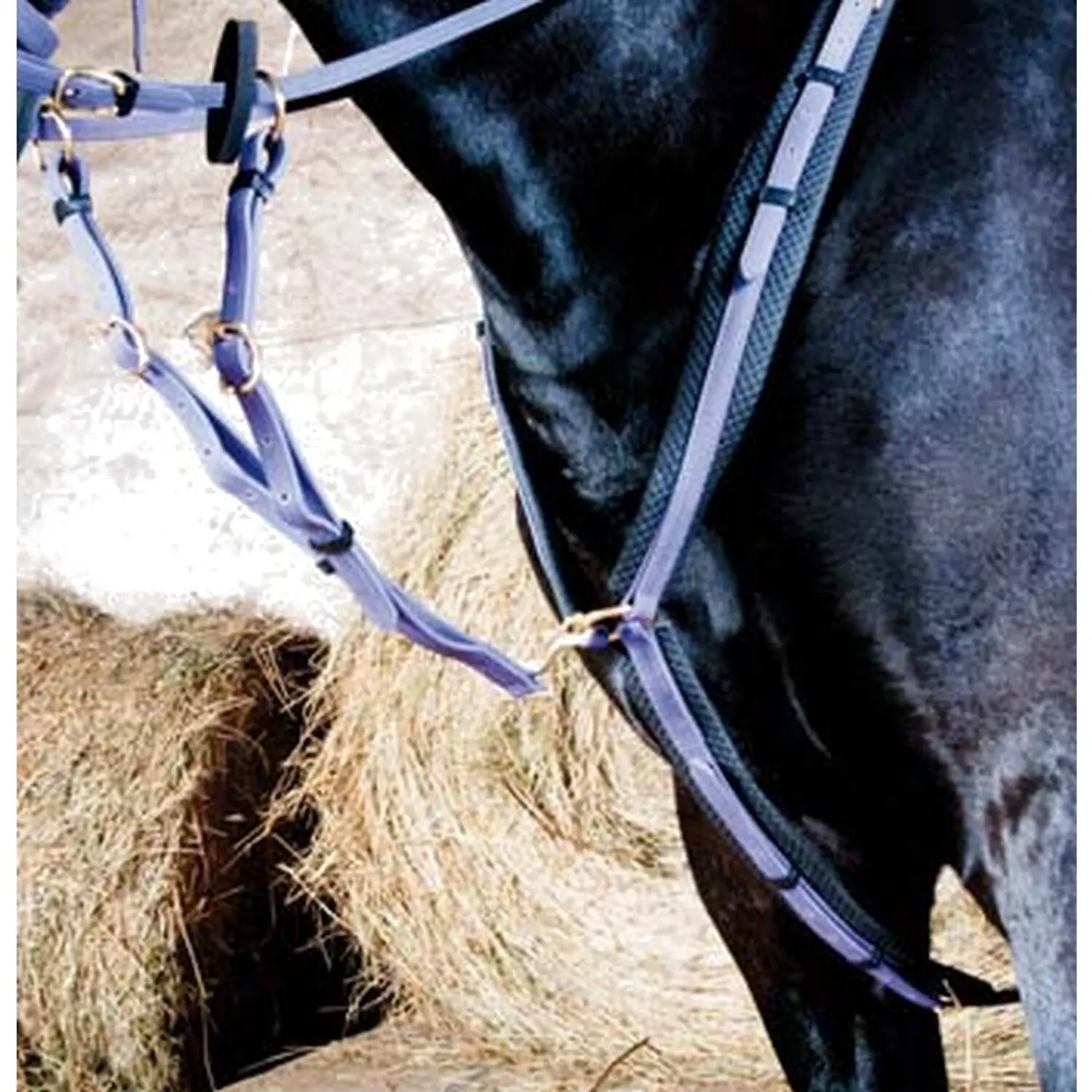Hunting collar for horse T de T