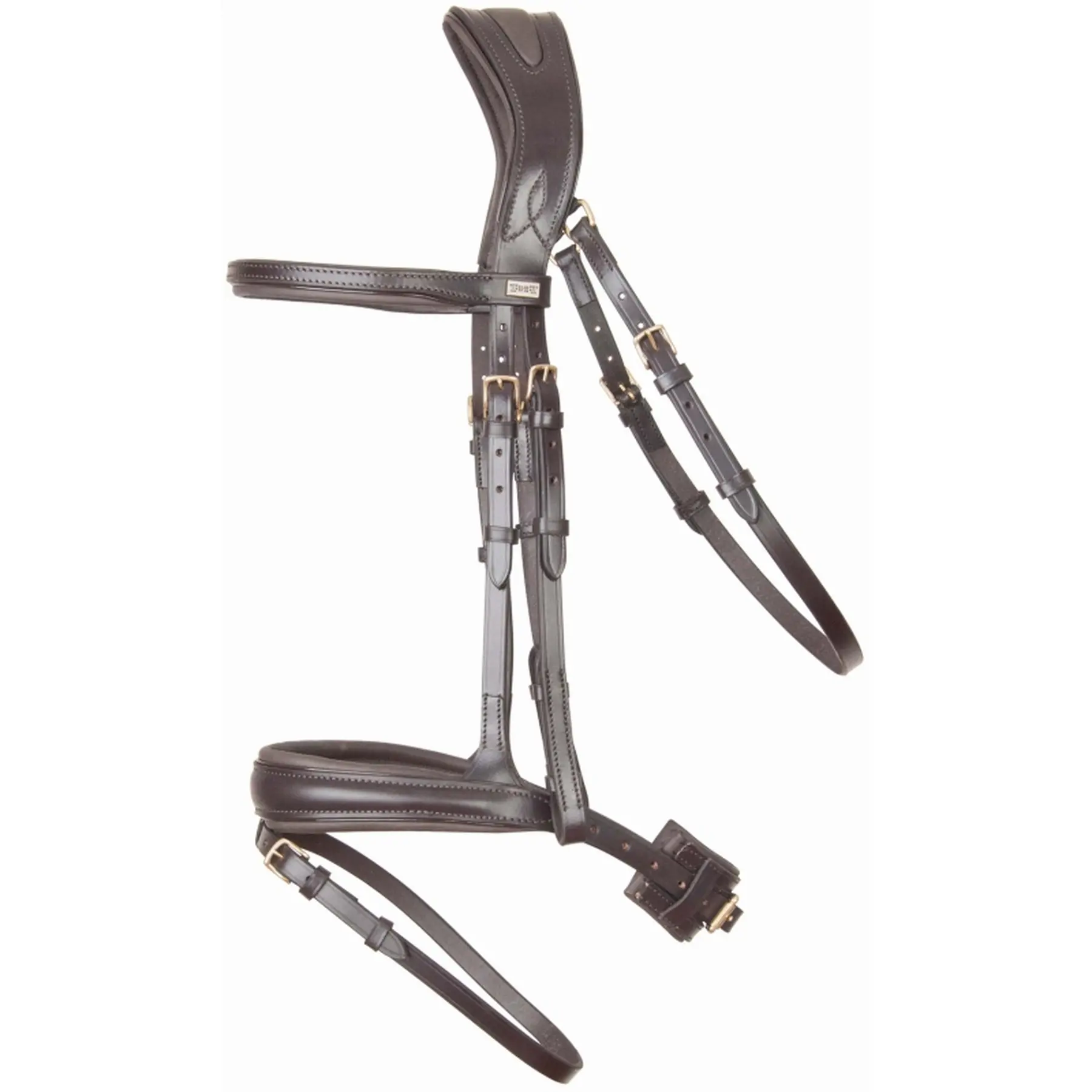 Bridles T de T Matisse