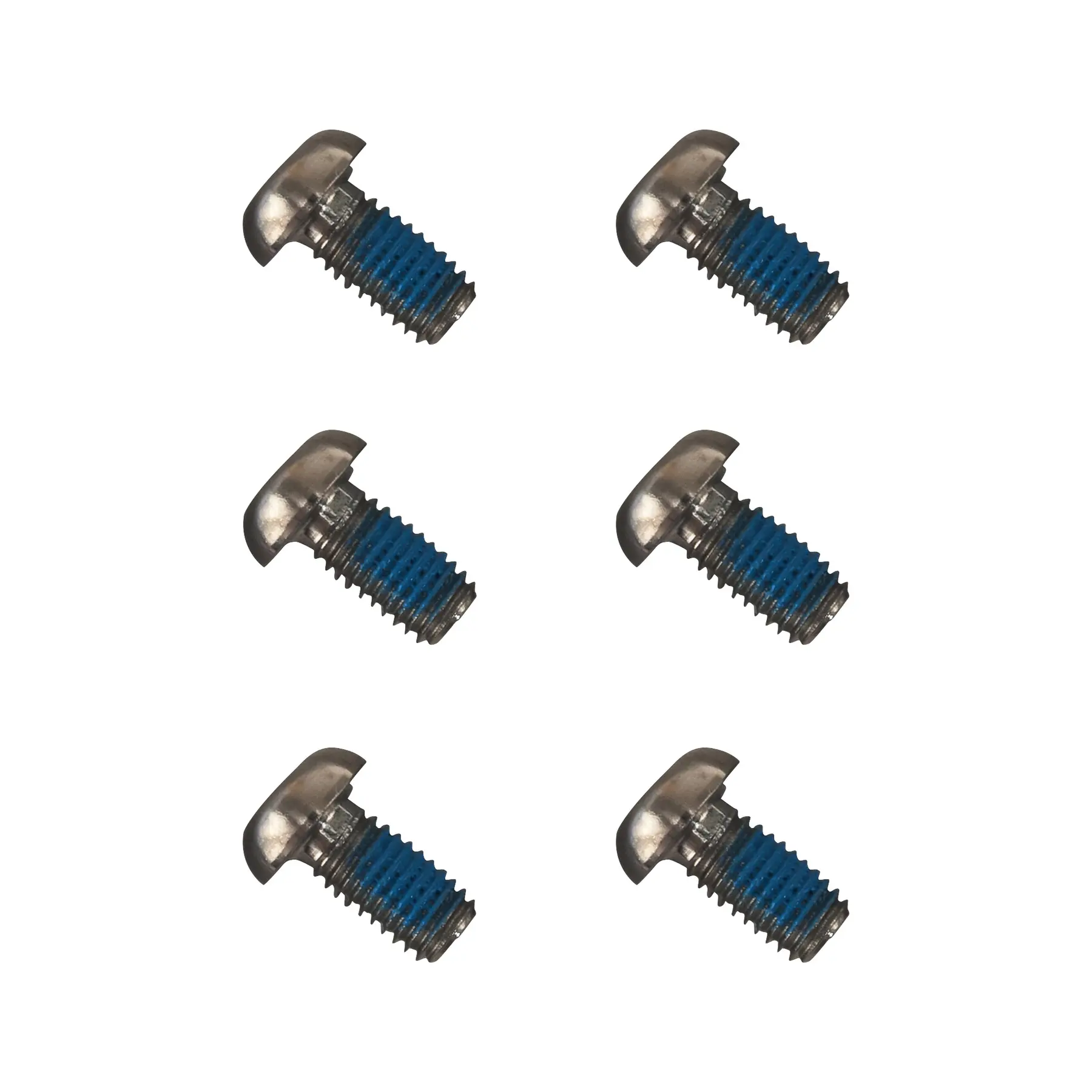 Remschijf Birzman (x6)