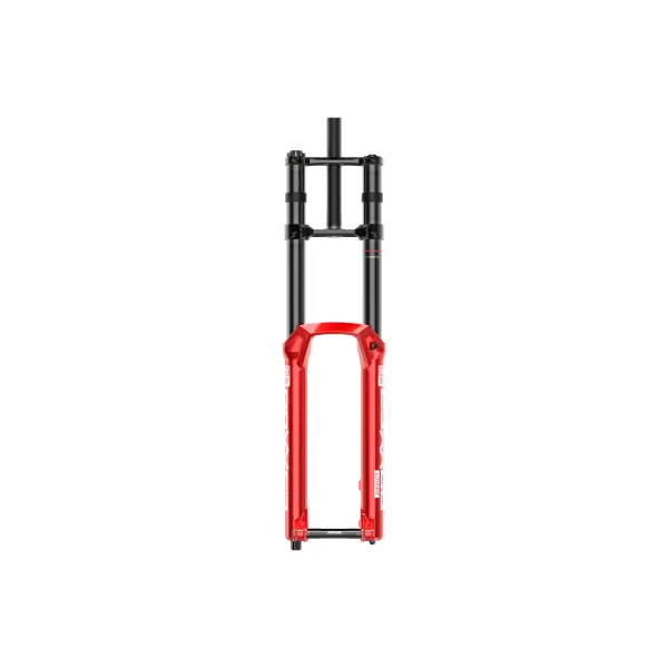 Gabel Rockshox BoxxerUltimate Charger3 RC2 D6
