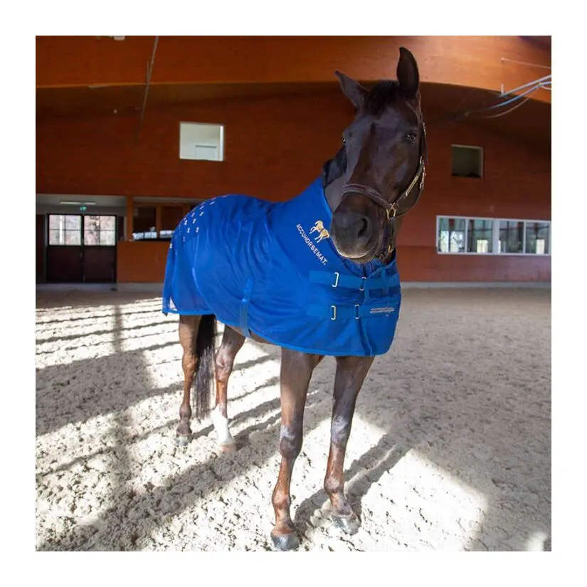 Acupressure mat for the back Accuhorsemat