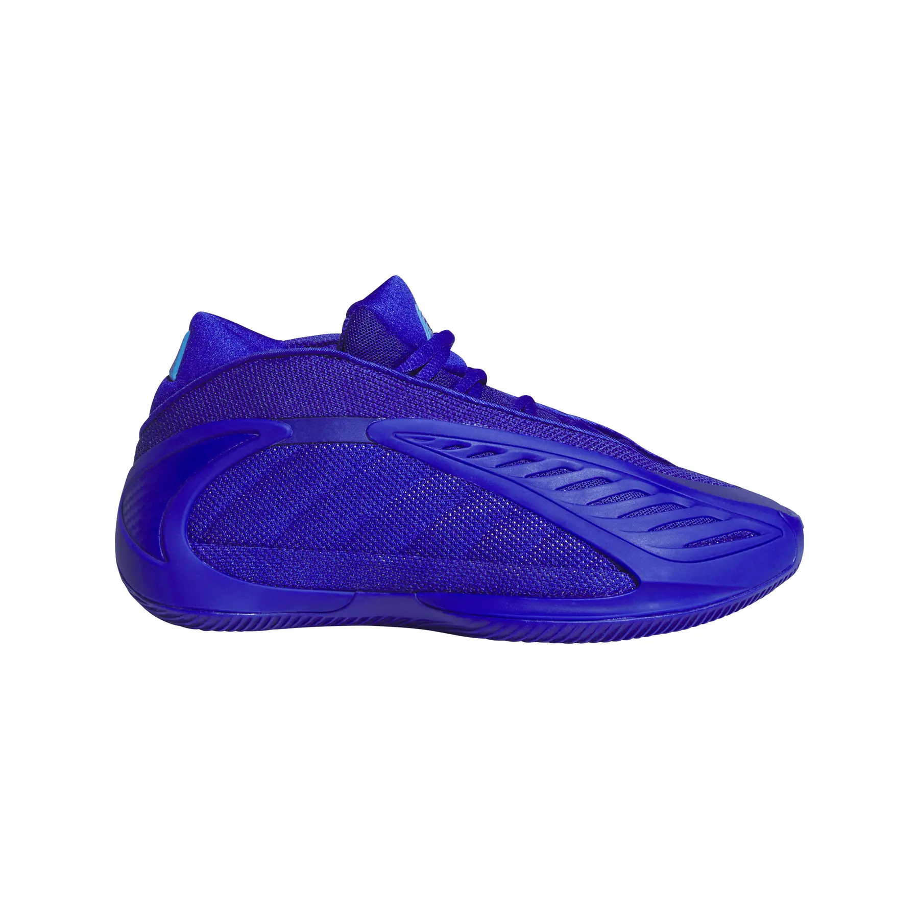 Basketbalschoenen voor kinderen adidas Anthony Edwards 2