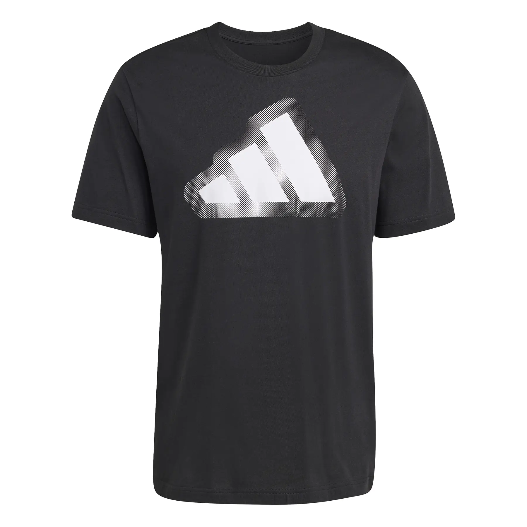 Modern essentials graphic camiseta manga corta hombre