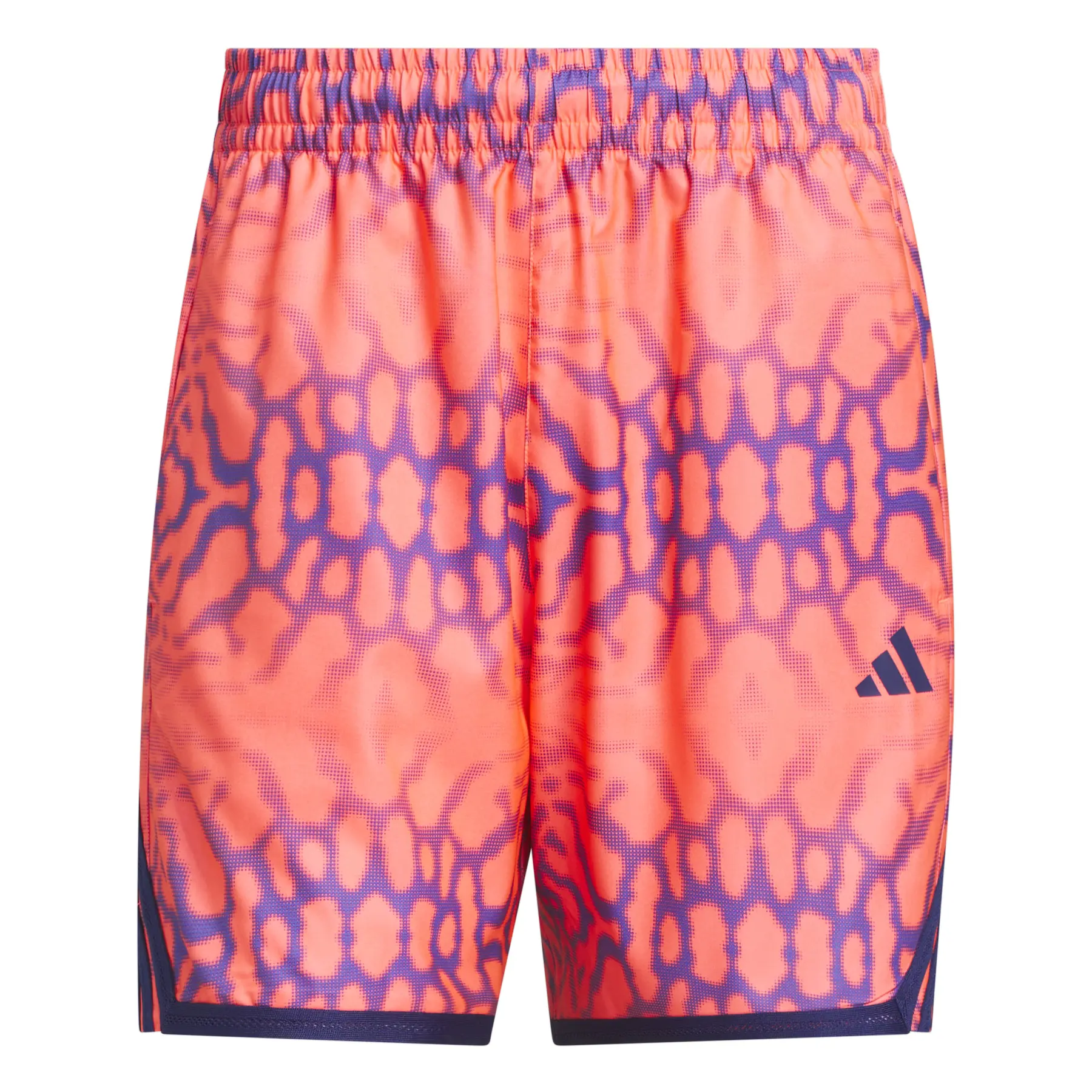 Pantalón corto adidas Crazy Lite Graphic