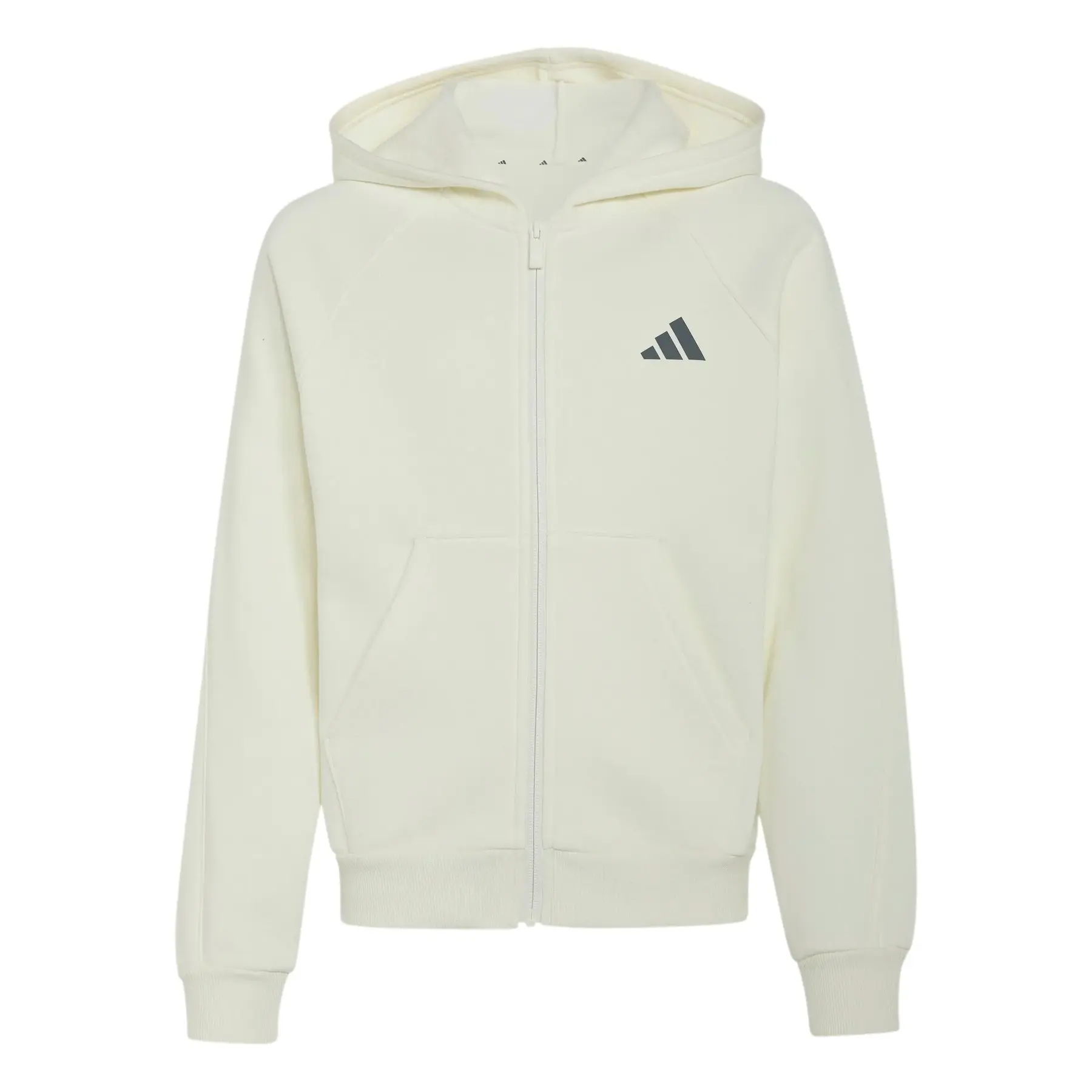 Felpa con cappuccio per bambini adidas Collegiate Typography