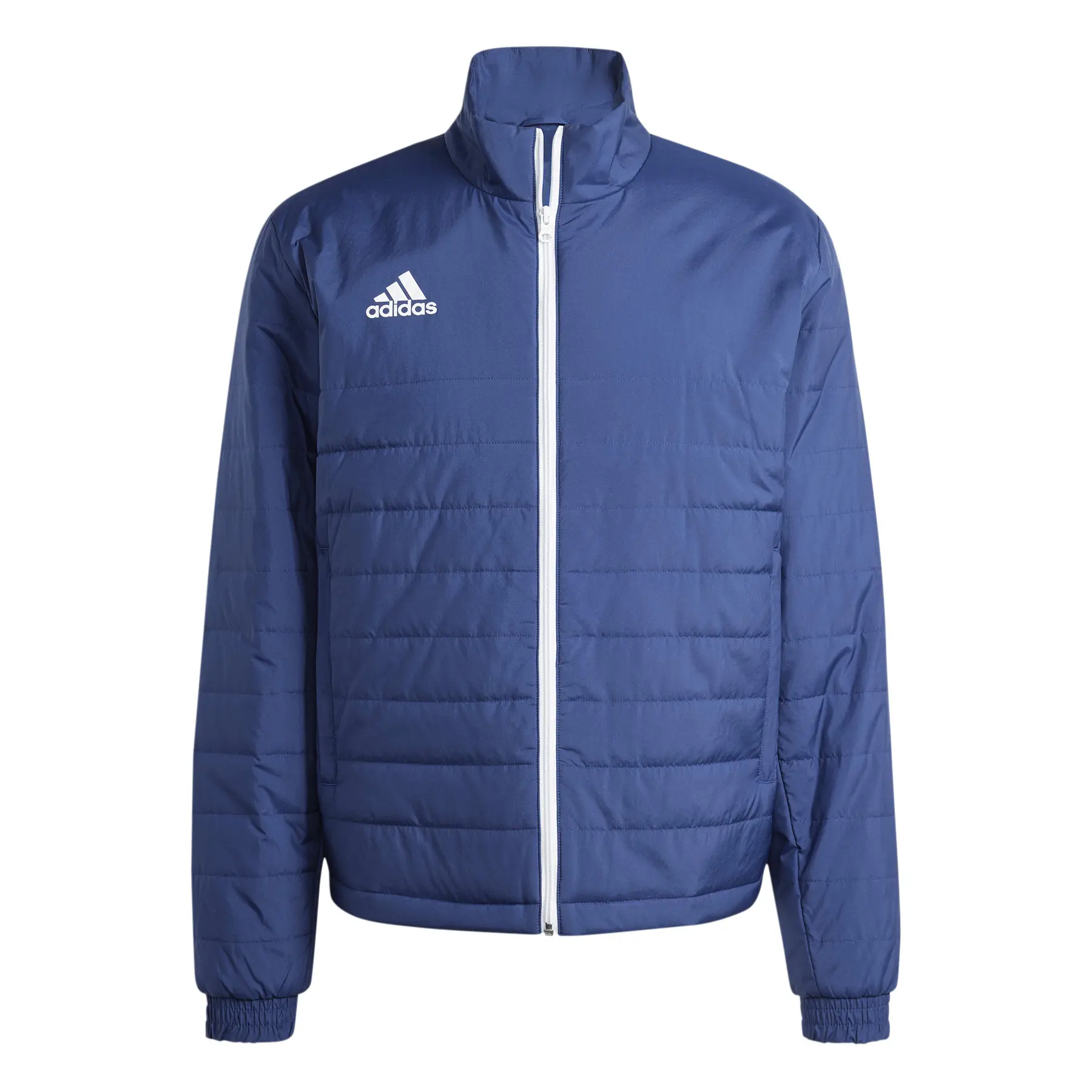 Piumino Adidas Entrada-image