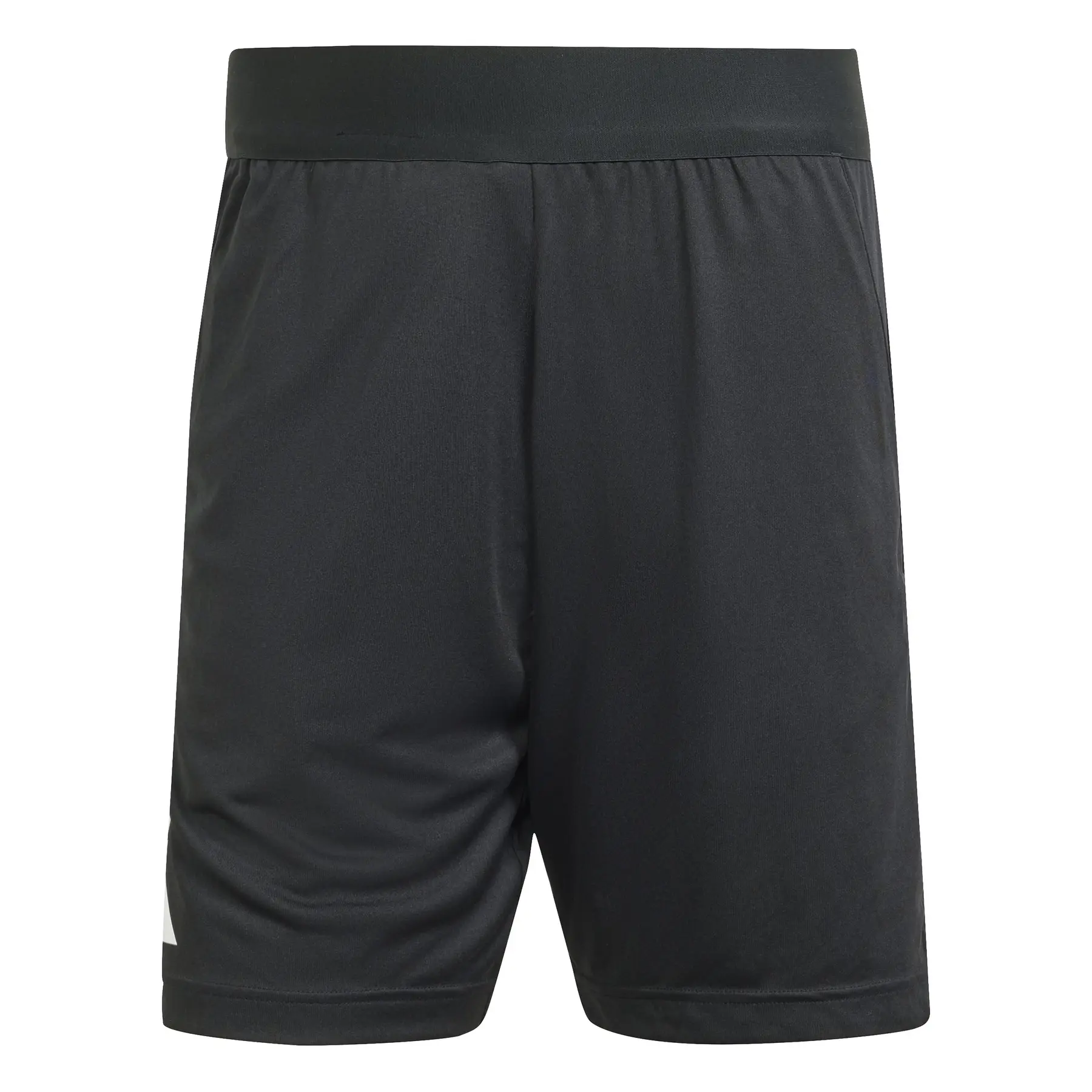 Shorts Schiedsrichter 24 adidas