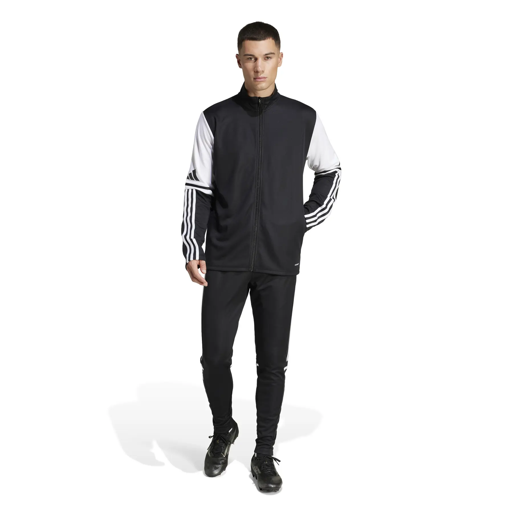 adidas Performance Trainingshose "SQUADRA 25"