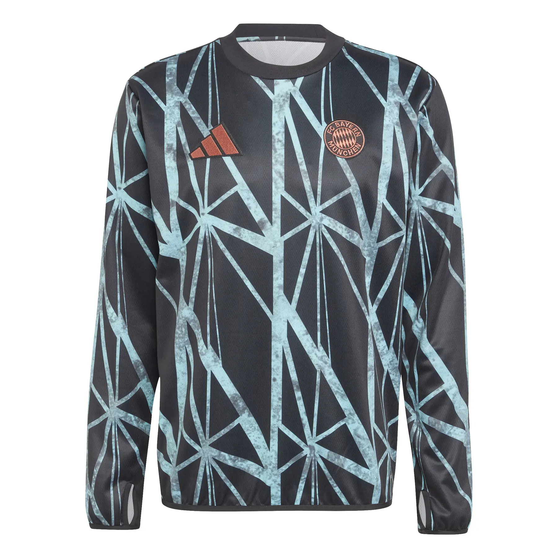 Aufwärmtrikot Bayern München 2024/25