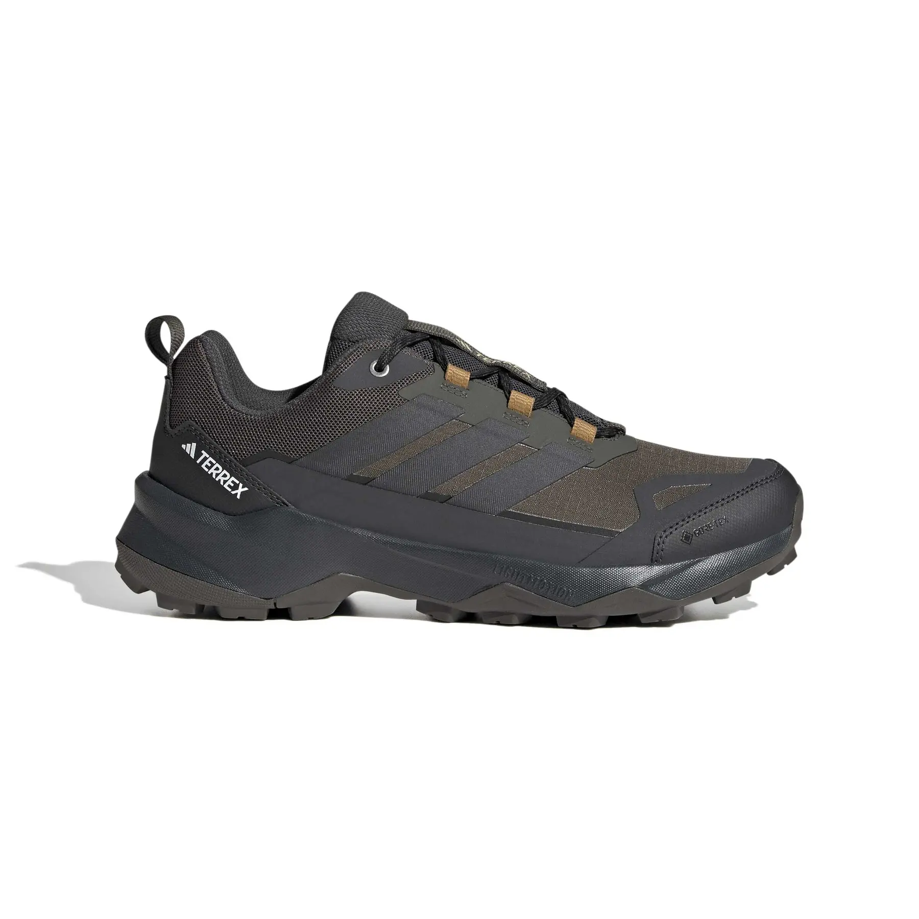 Adidas Terrex SKYCHASER AX5 GTX - Zustiegsschuh