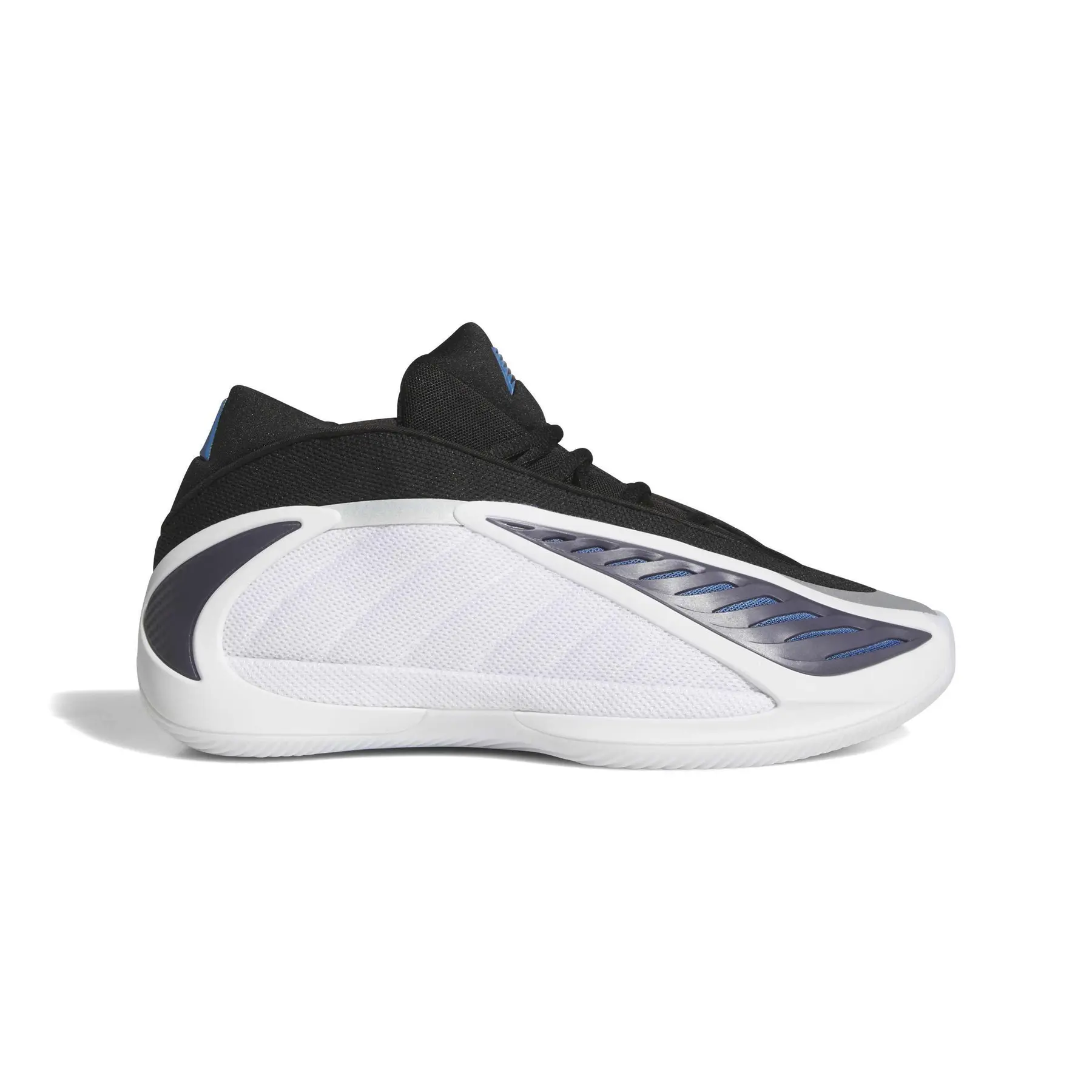 Chaussures de basketball A.E. 2 Alphadawg
