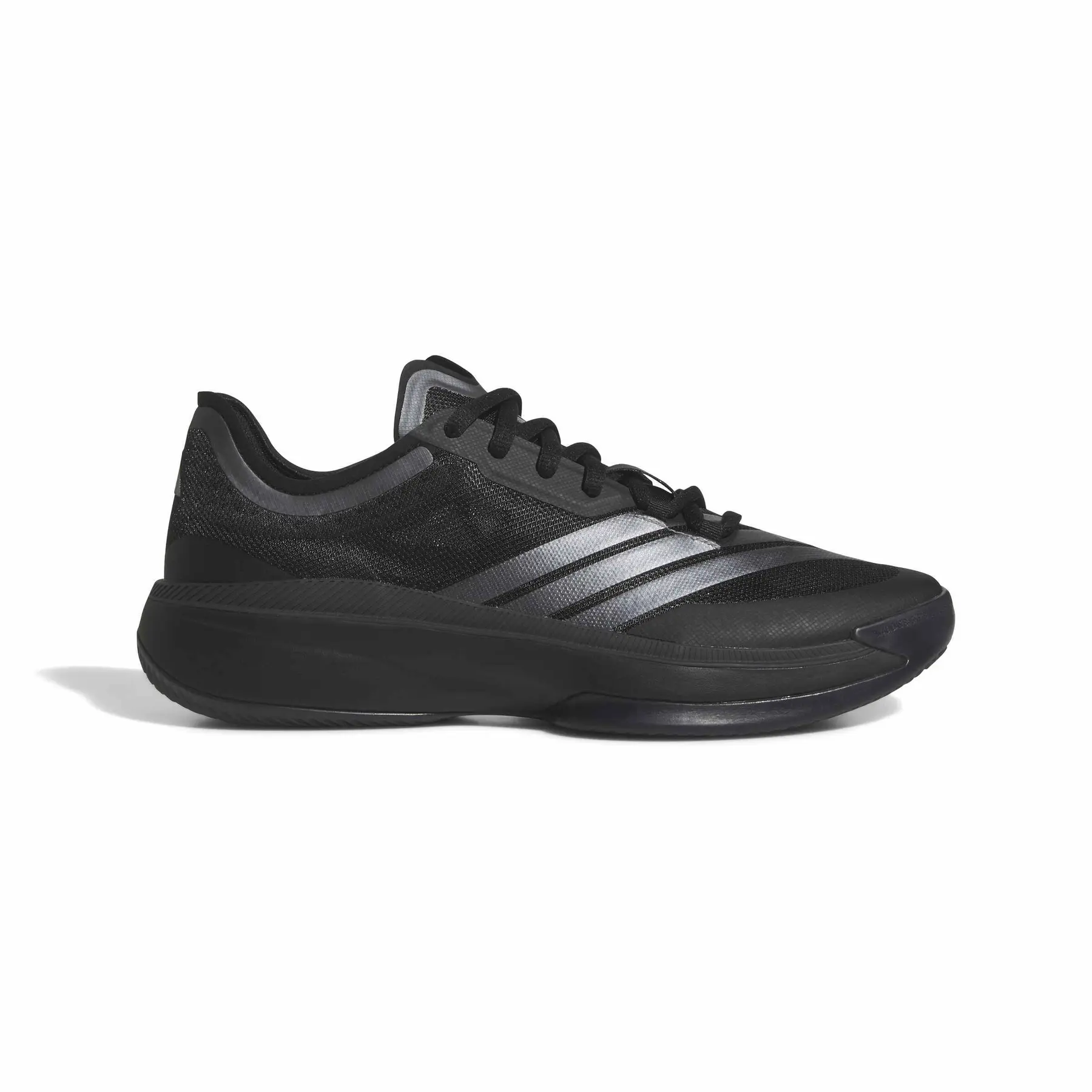 Chaussures de basketball adidas Adizero Select 2.0