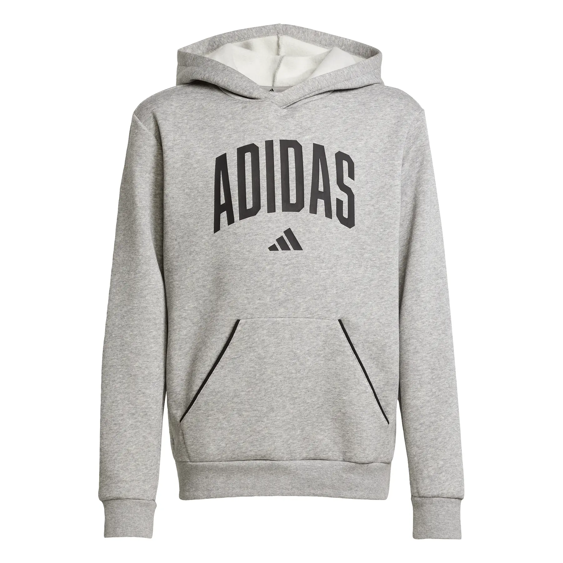 Sudadera con capucha infantil adidas Essentials Collegiate Typography