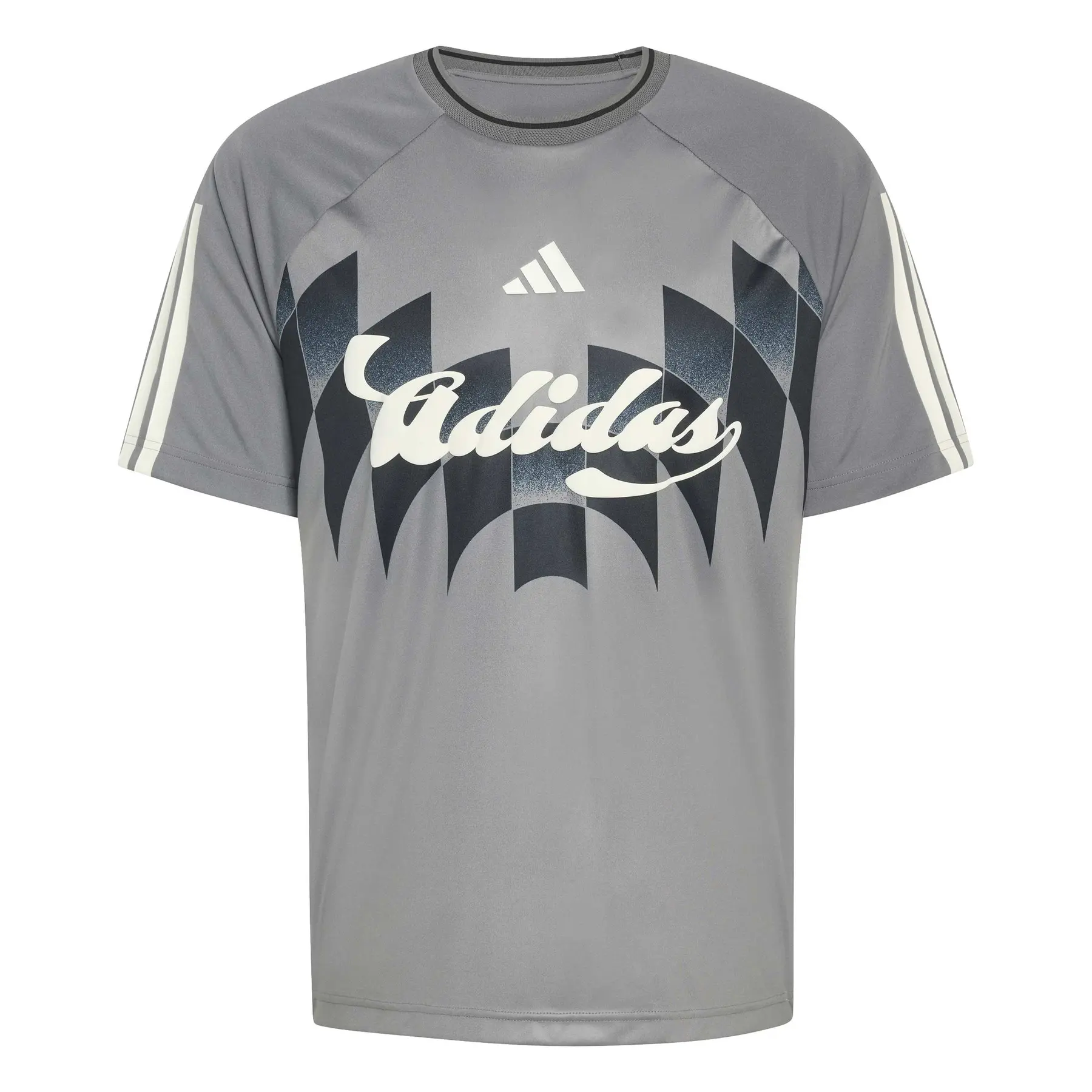 adidas House Of Tiro X Common Torwarttrikot - Farbe: Gris