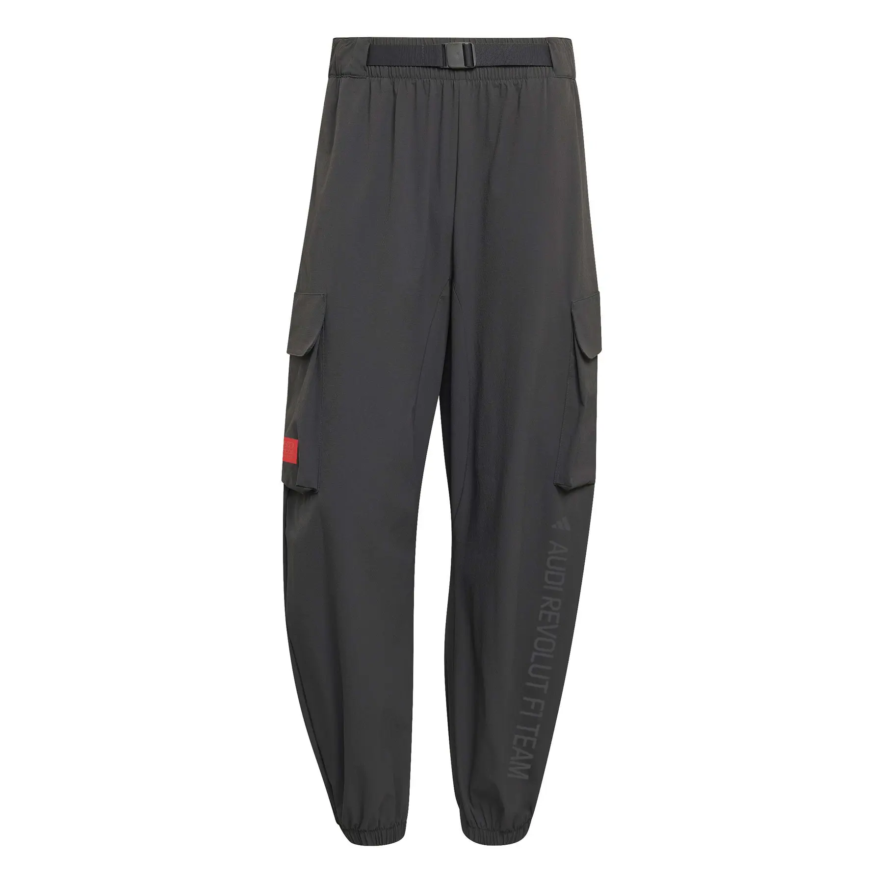 Audi Cargo-Hose Formula One Team Elevated