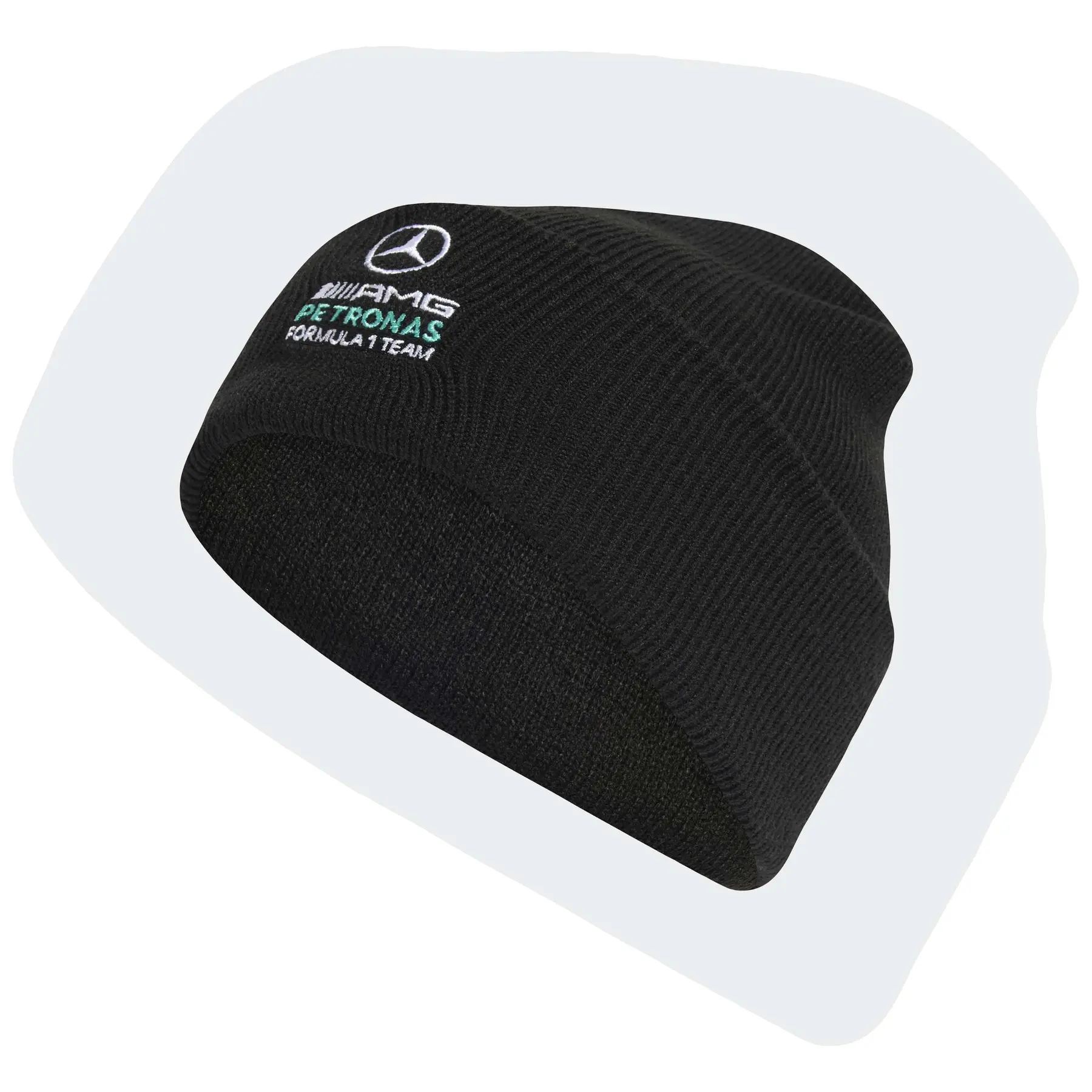 Mercedes AMG Haube Petronas Formula One Team DNA