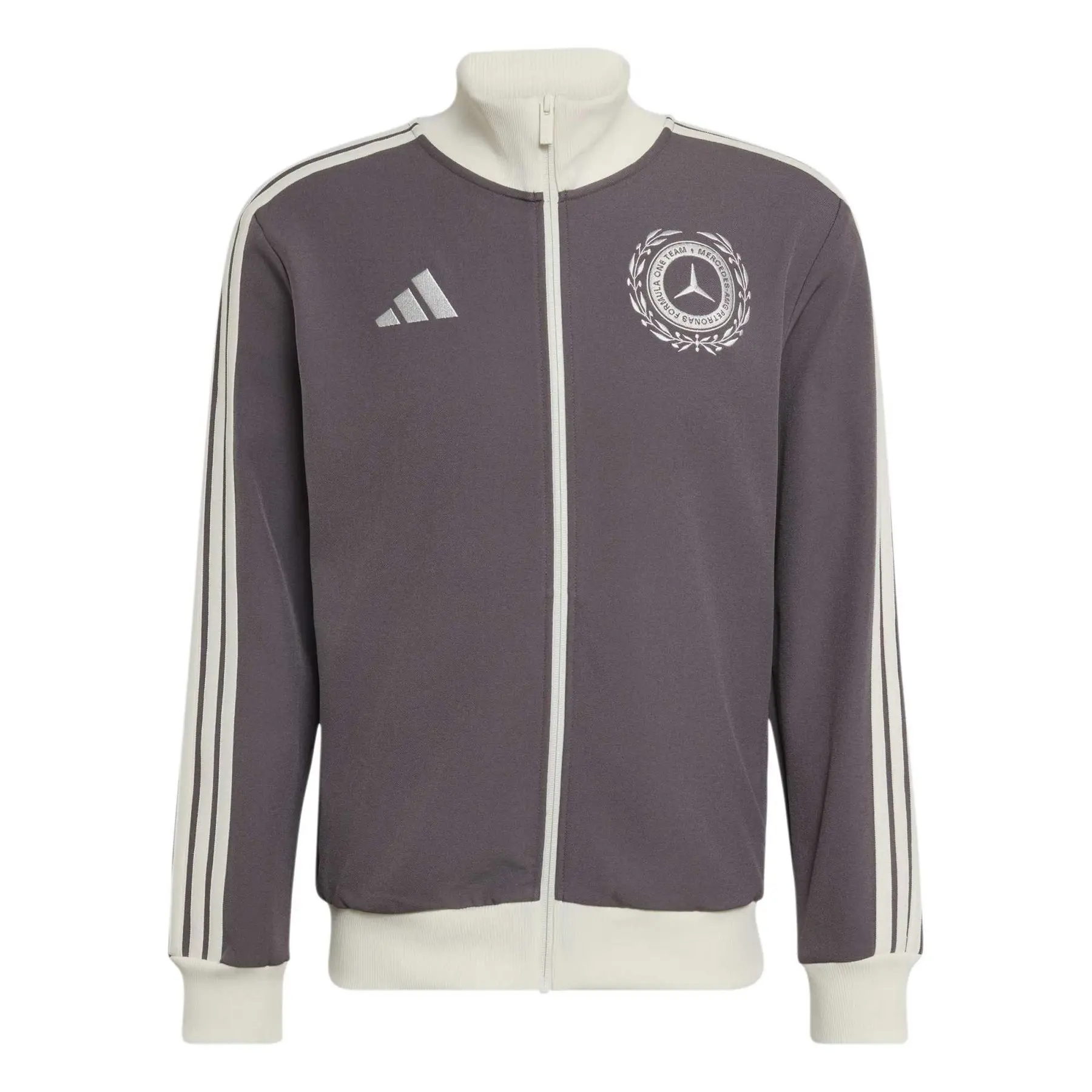 Mercedes AMG Trainingsjacke Petronas Formula One Team - Farbe: Gris